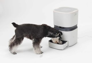 8 Smart Home Devices That Will Make Life Easier - Photo 2 of 8 -