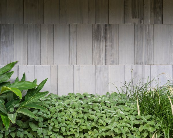 The wall cladding is composed of three sizes of western red cedar panels with a Porter’s grey timber stain, specially mixed for the project.
www.porterspaints.com
© Justin Alexander Photo 7 of Harbour Front-Row Seat modern home