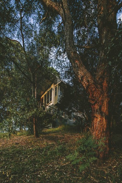 Photo Credit: Shantanu Starick www.shantanustarick.com Photo of Tallowood Treehouse modern home