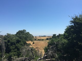 Arastradero Preserve - Photo 4 of 6 - Off in the distance- the East Bay!
