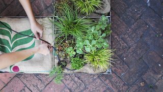 Reel to Reel - Photo 3 of 4 - FAIRMOUNT green roof