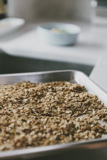 Alpine Granola - Photo 1 of 1 -
