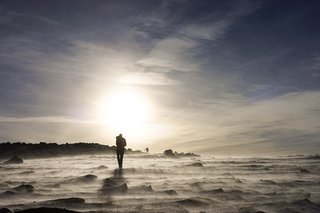 In Praise of Walks and Wilderness - Photo 2 of 5 -