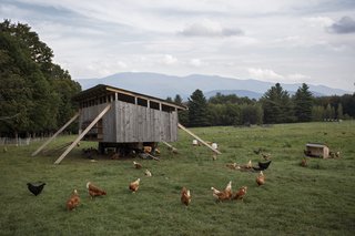Summer Graze - Photo 1 of 7 - Von Trapp resort and farm in Vermont.