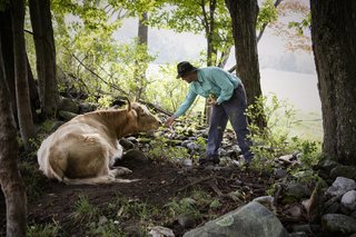 Summer Graze - Photo 2 of 7 - Sam von Trapp at work on the family farm.