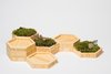 The hexagonal moss gardens bring the Northeast Woodlands inside. The beauty of a moss garden is that it looks terrific even when kept dry, perfect for the "busy" lifestyle.
Find the Modify Furniture Home Decor Collection at www.modifyfurniture.com/homedecor
Photo 4 of Modern, Minimalist and packed with Meaning modern home