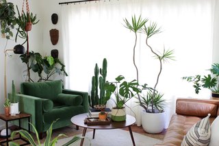 Part studio, part home. With Jenny's work desk just feet away, she needed this space to be equal parts beautiful and comfortable. It serves as inspiration while working and a comfy place to take work breaks. 