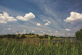 Freshkills Park