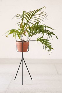 Tour an Insanely Stylish NYC Loft With Major Scandinavian Vibes - Photo 10 of 19 - Urban Outfitters Tripod Plant Stand ($34)