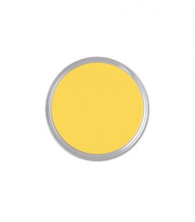 What's the Best Color to Paint Your Front Door? Your Guide to Finding The One - Photo 20 of 22 - Farrow & Ball Citron ($36)
