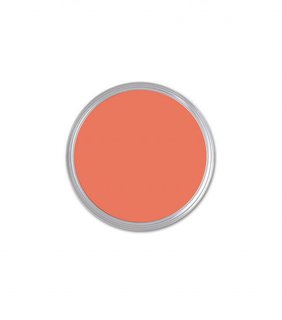 What's the Best Color to Paint Your Front Door? Your Guide to Finding The One - Photo 6 of 22 - Benjamin Moore Fresno Sample ($7)