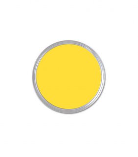 What's the Best Color to Paint Your Front Door? Your Guide to Finding The One - Photo 2 of 22 - Benjamin Moore Bright Yellow Sample ($7)