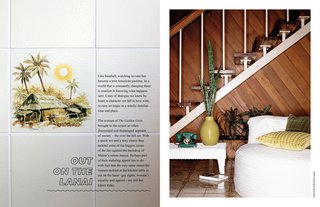 curio 5: endless summer - Photo 4 of 9 -