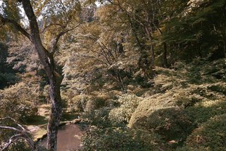 The Community-Run Cedar House by Airbnb and Go Hasegawa Welcomes Guests in Rural Japan - Photo 12 of 12 - The community hub rests on the riverbanks of the Yoshino River.
