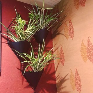 Inspiring flowers for your next interior - Photo 4 of 7 -