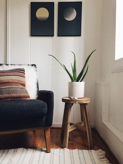 Put A Plant On It | Aloe Edition - Photo 2 of 5 -