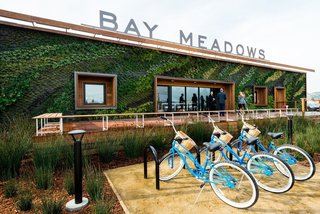 Measuring 86 feet in length, the vertical garden at Bay Meadow's Welcome Center in San Mateo, California, was designed by CMG Landscape Architecture. They selected plants for their ability to promote the ecological health of the surrounding area.
