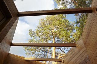 A Tiny Bathhouse on the Norwegian Island of Hankø Made With Sustainable Softwood - Photo 6 of 10 -
