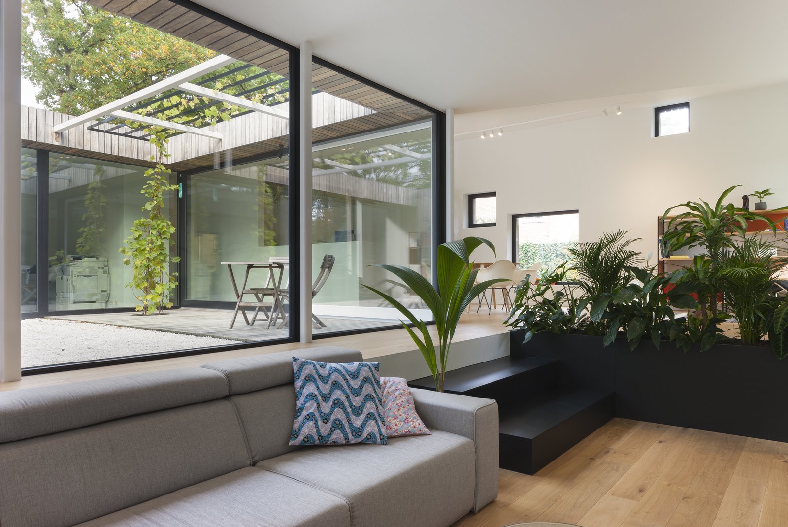 A black planter with ferns separate the living lounge from the dining area.