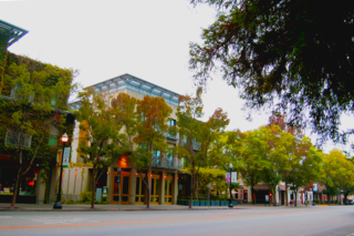 Artist Reinvents the Contemporary Art Experience - Photo 6 of 6 - The Healdsburg Plaza has a charm all it's own.
