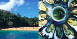 Instagram / Sydney / Australia - Photo 2 of 13 - Shelly Beach and Sydney Rock Oysters at The Boathouse, Photography: Marcus Hay for SMH, Inc