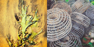 Instagram / Sydney / Australia - Photo 12 of 13 - On the beaches, Seaweed and fishing baskets, Photography: Marcus Hay for SMH, Inc