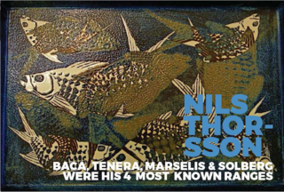 Inspiring Icons / Nils Thorsson - Photo 6 of 9 - A detail of a platter designed by Nils from the Baca years