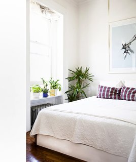 Incorporate your plants into your morning ritual; Source: Sidney Bensimon/The Sill