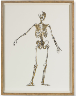 Design Trade Service picks February's top items for designers - Photo 5 of 6 - Gold skeleton