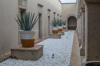 Patrón Designed a Spanish Colonial Guest House with Modern Flair - Photo 2 of 14 - Cacti, agave and semi-desert vegetation were used to reduce facility water consumption and rain absorption wells were installed to water the plants present. 