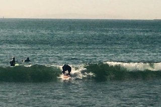 Crafting a Hollow Wood Surfboard from Old-Growth Redwood - Photo 25 of 26 - Paddling in, standing up.