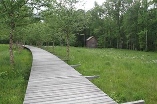 An Eco-Friendly Community Outside of Atlanta Celebrates Nature and Sustainability - Photo 9 of 10 - A wastewater area doubles as a nature trail along a raised boardwalk.