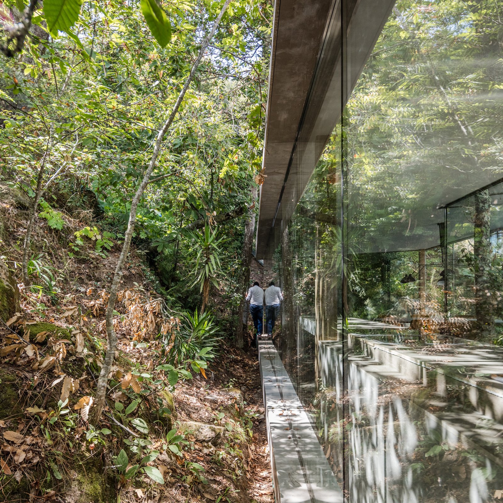 Light enters the home from all sides, even those which are closest to the hill.