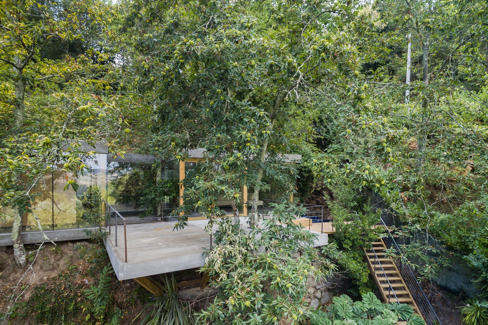 Cloaked House, as 3r Ernesto Pereira named it, blends into its hillside location.