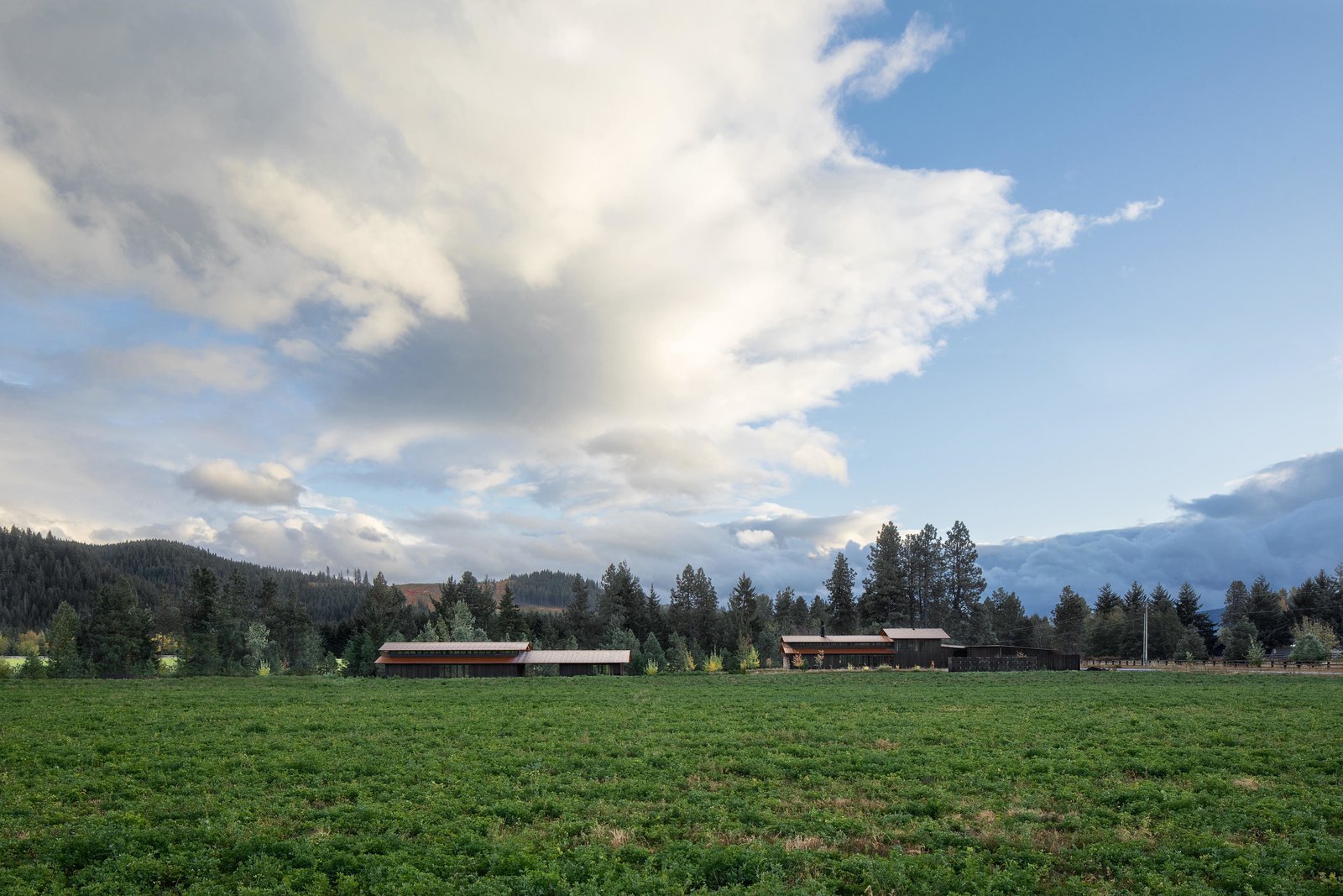 Trout Lake | Olson Kundig