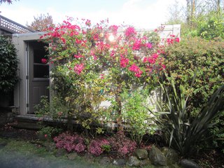 An Unused Garage Is Transformed Into a Light-Filled Backyard Studio - Photo 9 of 9 - Shown here is the "before" state of the now-renovated studio when it was an unused carriage house/garage. 