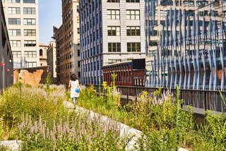 A Brooklyn-Based Landscape Firm That’s Reshaping New York City’s Green Urban Scene - Photo 1 of 13 -