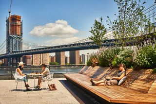 A Brooklyn-Based Landscape Firm That’s Reshaping New York City’s Green Urban Scene - Photo 3 of 13 -
