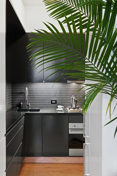 Modern home with kitchen. After moving the wall between the kitchen and living areas, Kate and Arthur were able to configure an L-shaped--which was critical in adding a full height refrigerator, full height pantry, and an 18” dishwasher. They opted for a minimalist black and white aesthetic, with dark black-green cabinets, and a dark soapstone counter.
Photo of Overhaul of an Upper West Side Brownstone Apartment