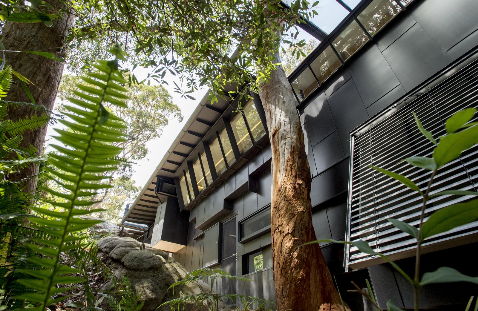 A close-up of the black-weathered zinc cladding. Angled walls and an opening in the eave preserves the mature trees on the site.