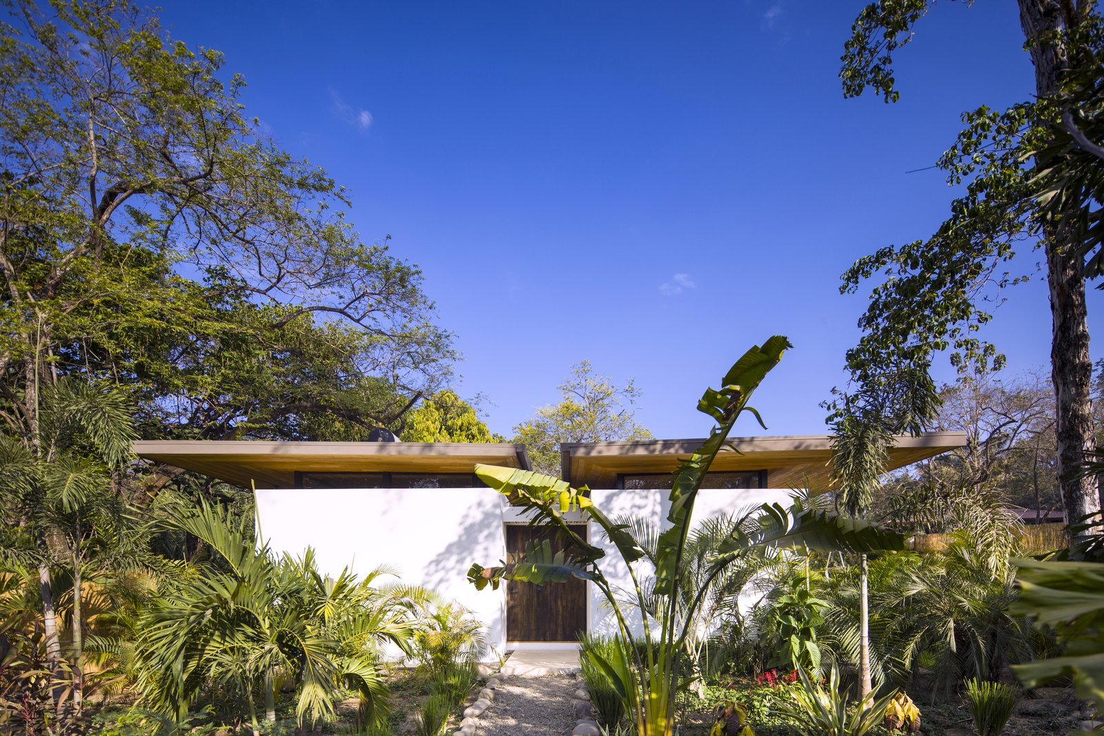Each villa sits harmoniously within the tropical landscape, shaded by trees and vegetation.