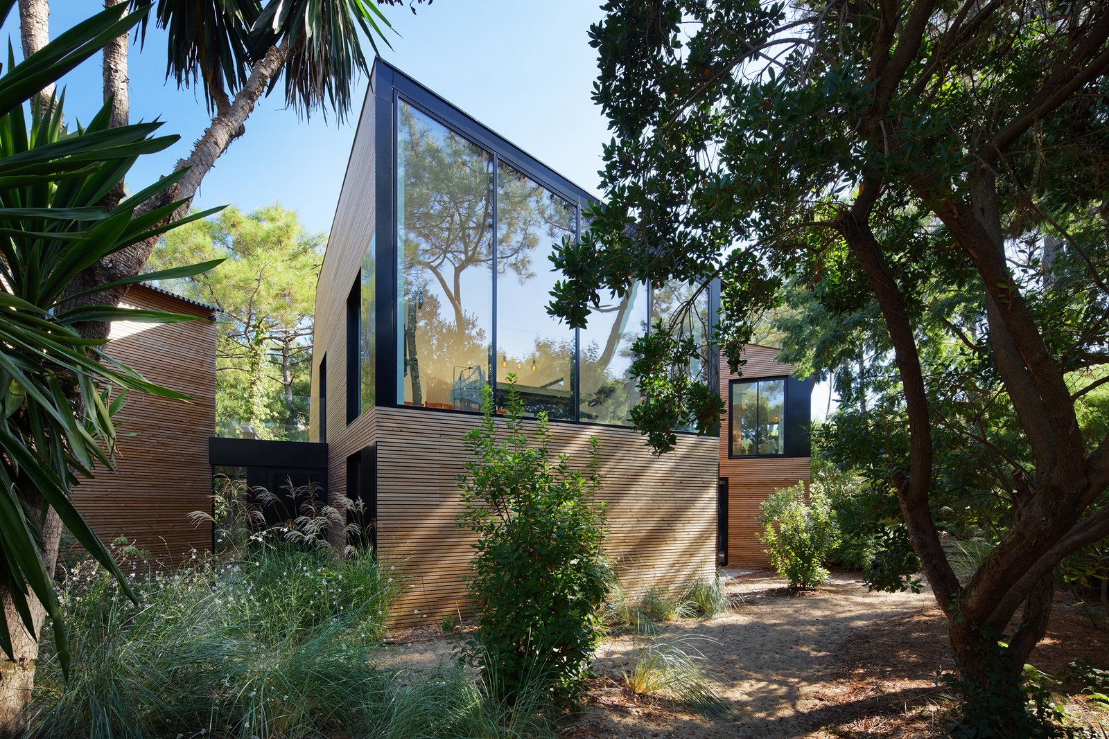 Large spans of glass look out on the surrounding lush vegetation.