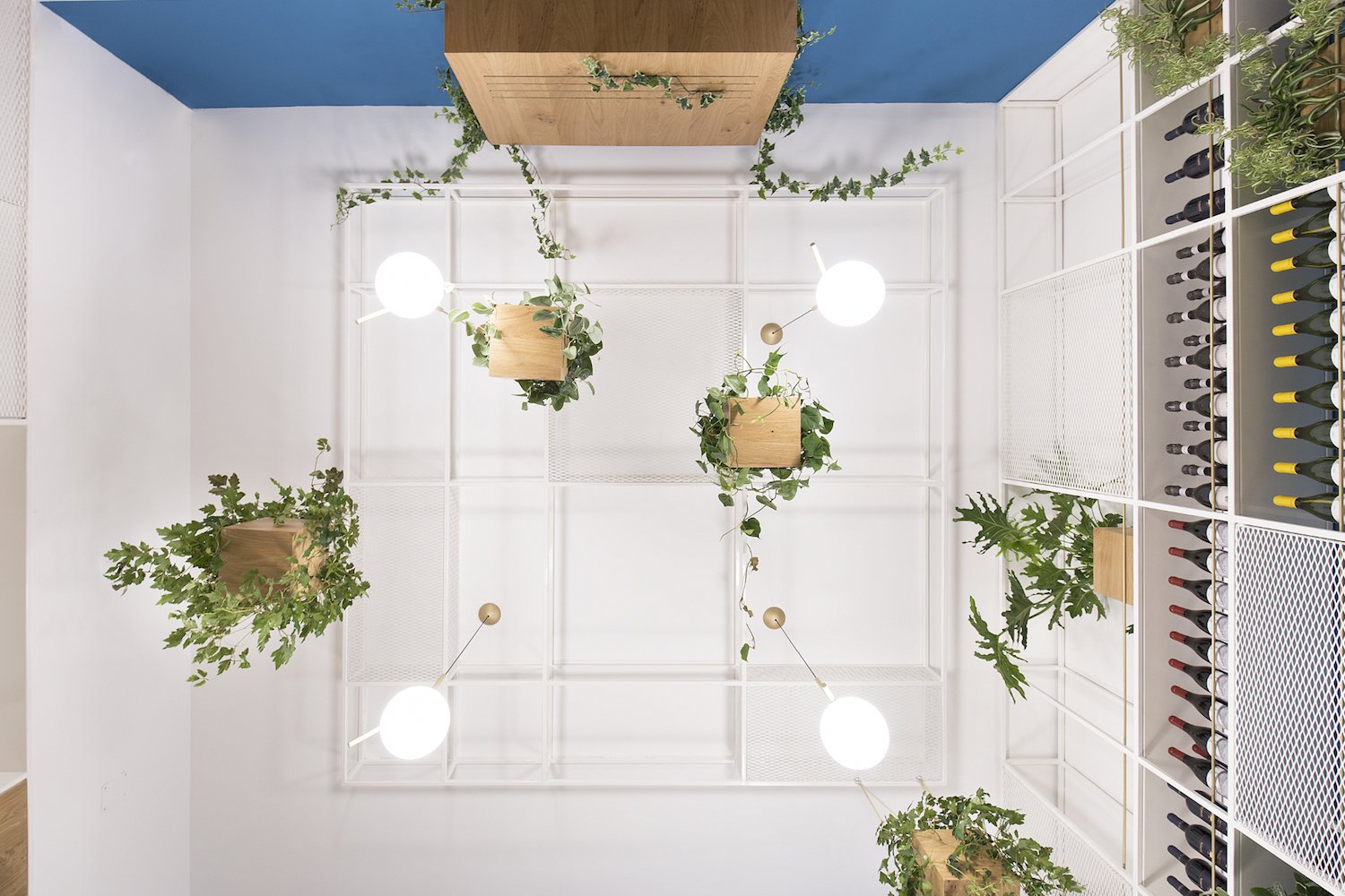 The hanging plants were inspired by the existing 200-year-old Cycas palm in the garden.
