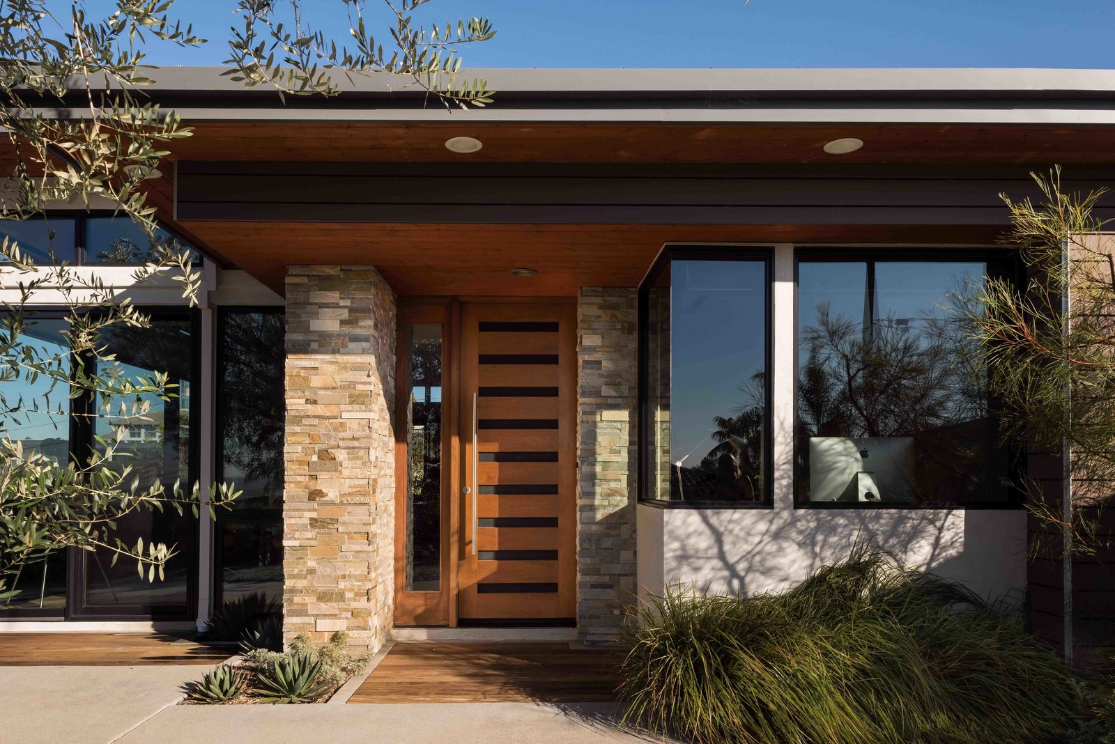 Modern entry door