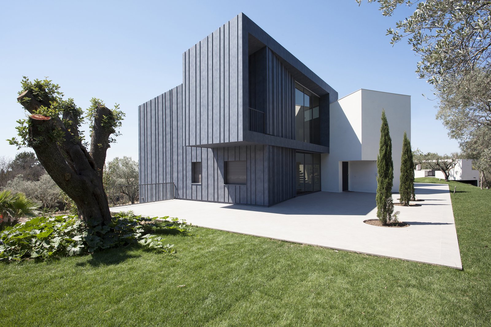 Villa Rosa. Exterior view. North