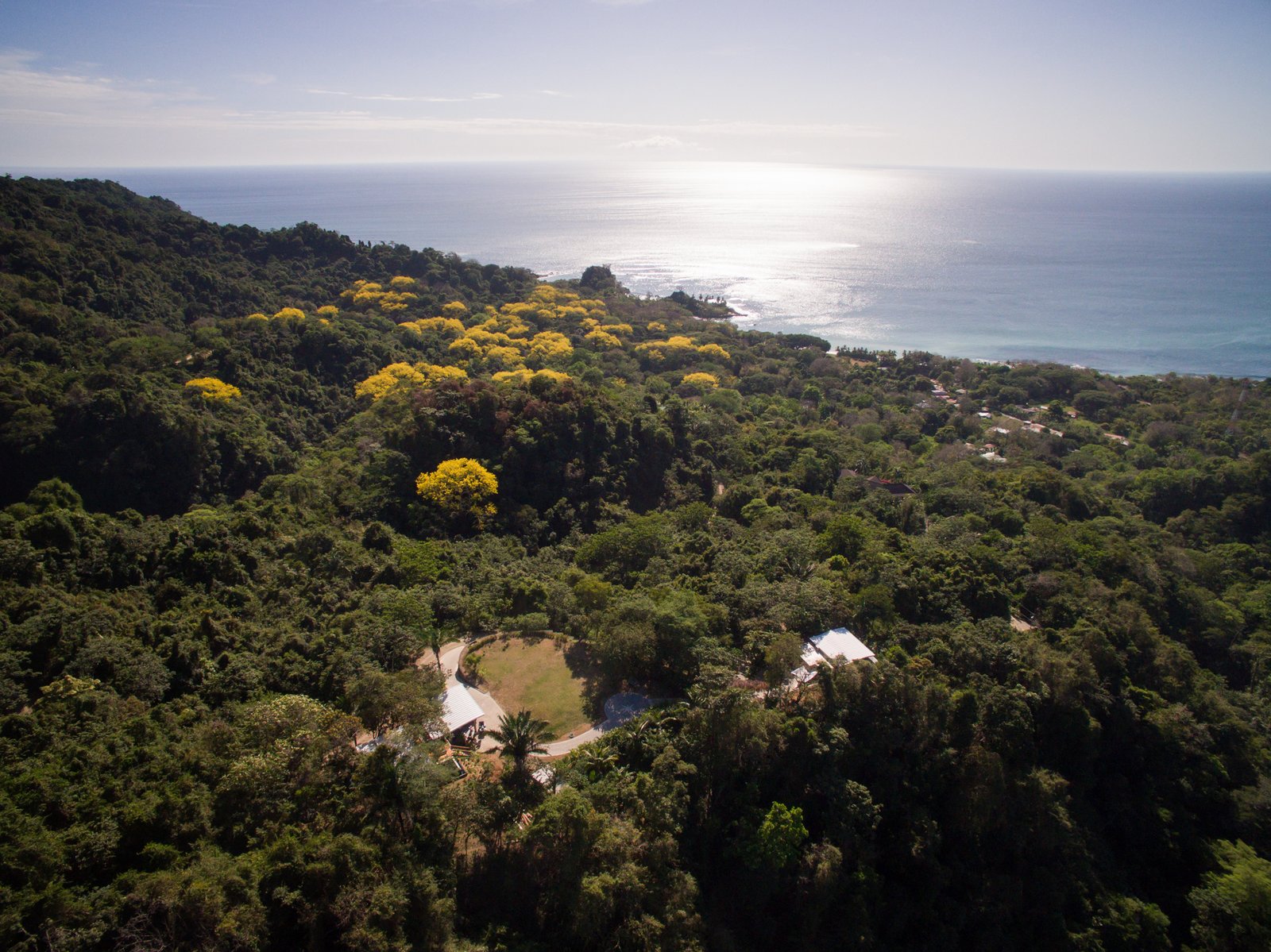 Aerial view of the area