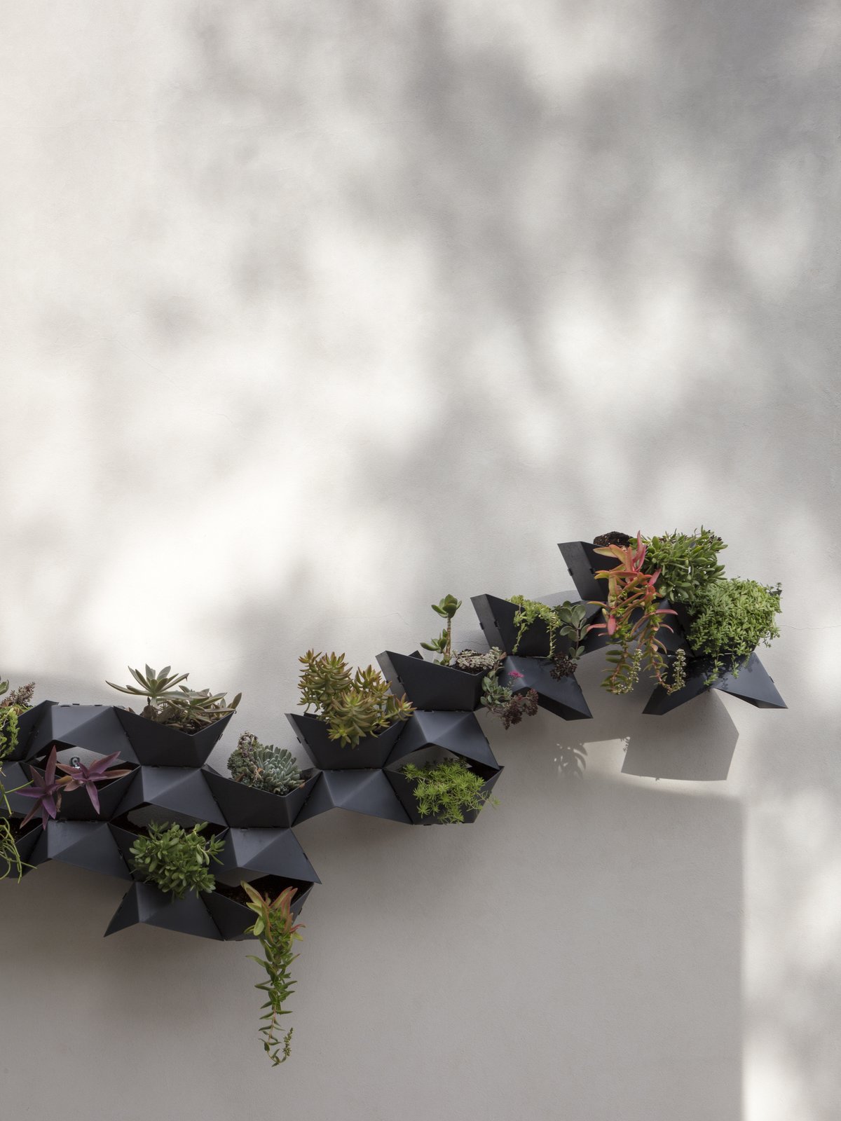 The east facing patio has a geometric wall mounted succulent planter. The graphite colored planters and white wall contrast the various colors of the plantings.