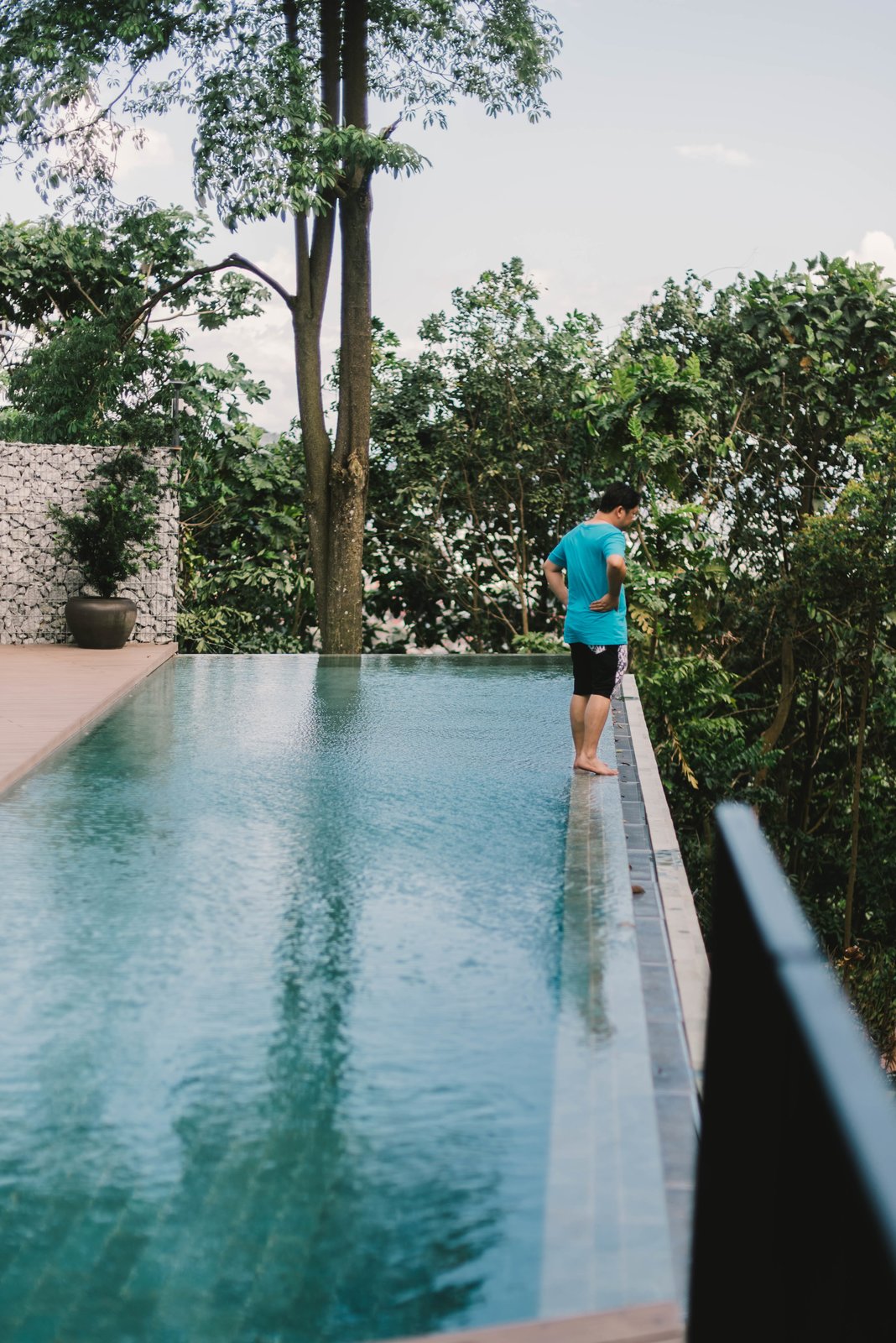 Infinity pool by forest