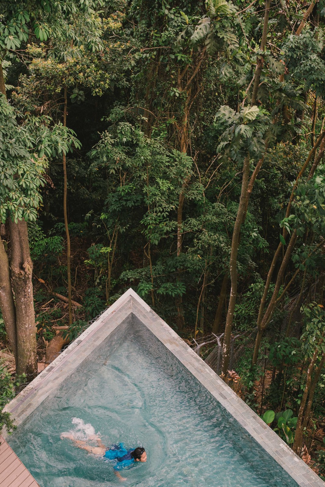 Infinity pool by forest