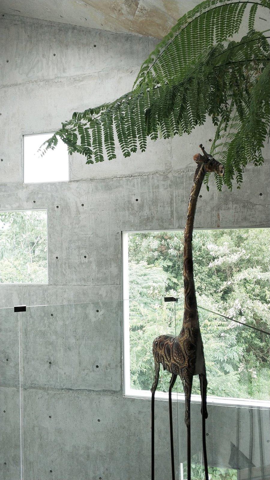 Giraffe in the house